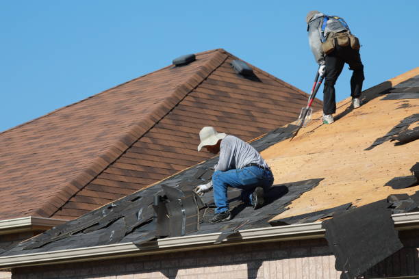 Best Asphalt Shingle Roofing  in Weidman, MI