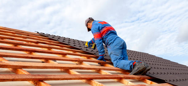 Best Skylight Installation and Repair  in Weidman, MI