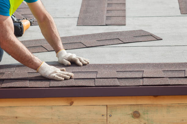 Best Roof Maintenance and Cleaning  in Weidman, MI